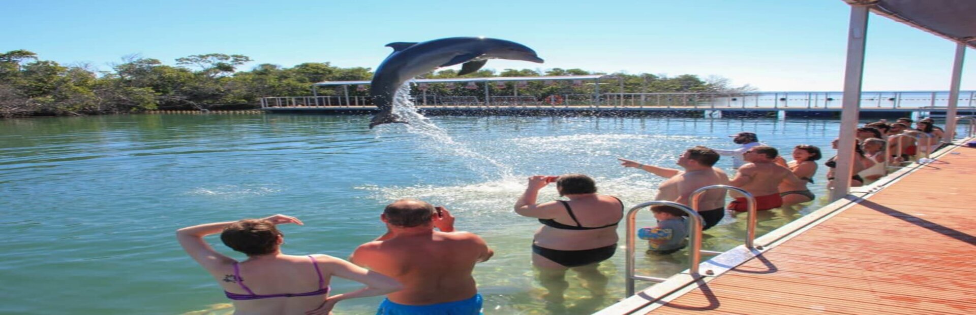 Interacción con delfines en Cayo Blanco